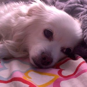 Meet your Posher, Eren